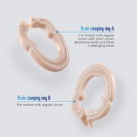 Dental section Matrix System Matrix Band matryce metalowe żywica zacisk/pierścień oddzielający autoklawowalne narzędzia dentystyczne 4